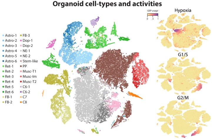 Figure 3—figure supplement 3.