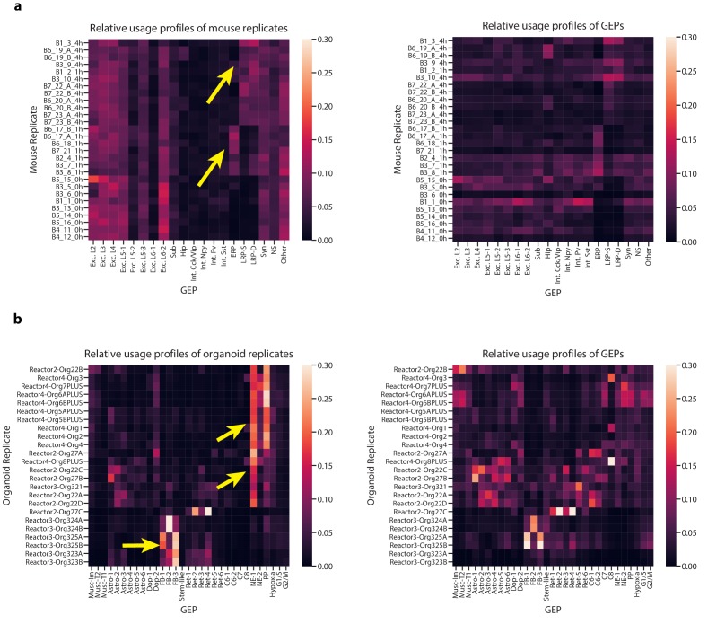 Figure 5—figure supplement 1.