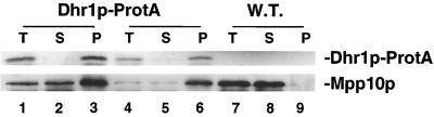 FIG. 8