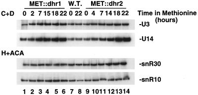 FIG. 9