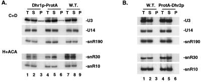 FIG. 7