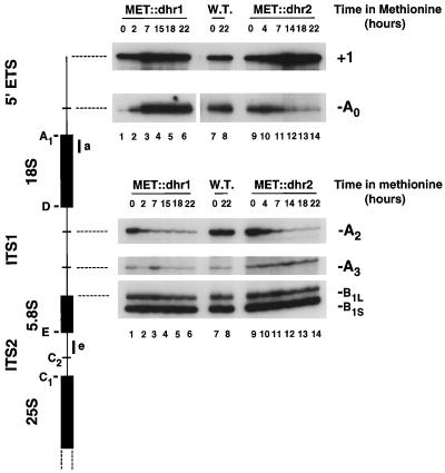 FIG. 6