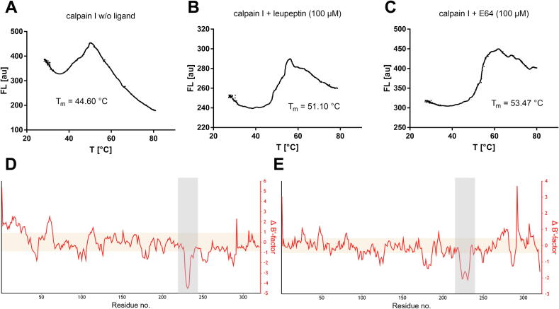 Fig. 10