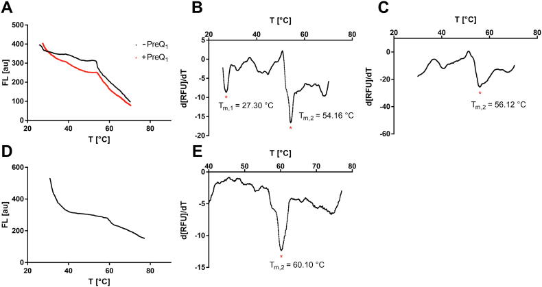 Fig. 12