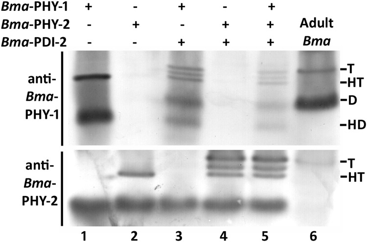 FIGURE 3.