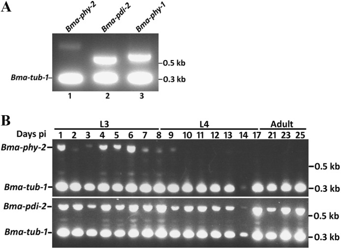 FIGURE 1.