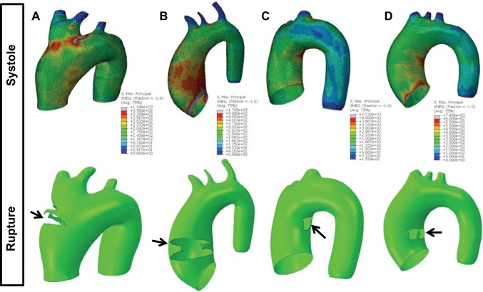 Fig. 5.