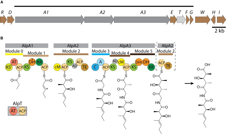 FIGURE 6