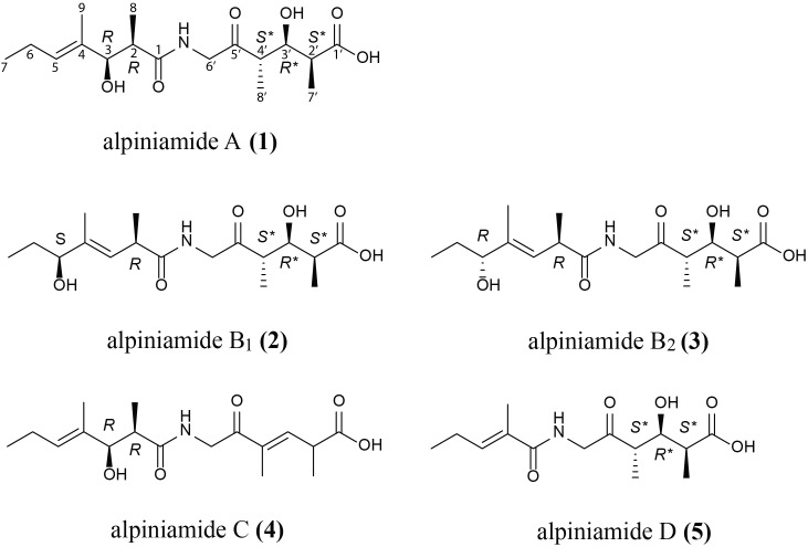 FIGURE 2