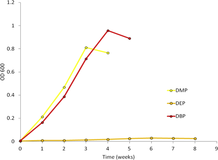 Fig. 6