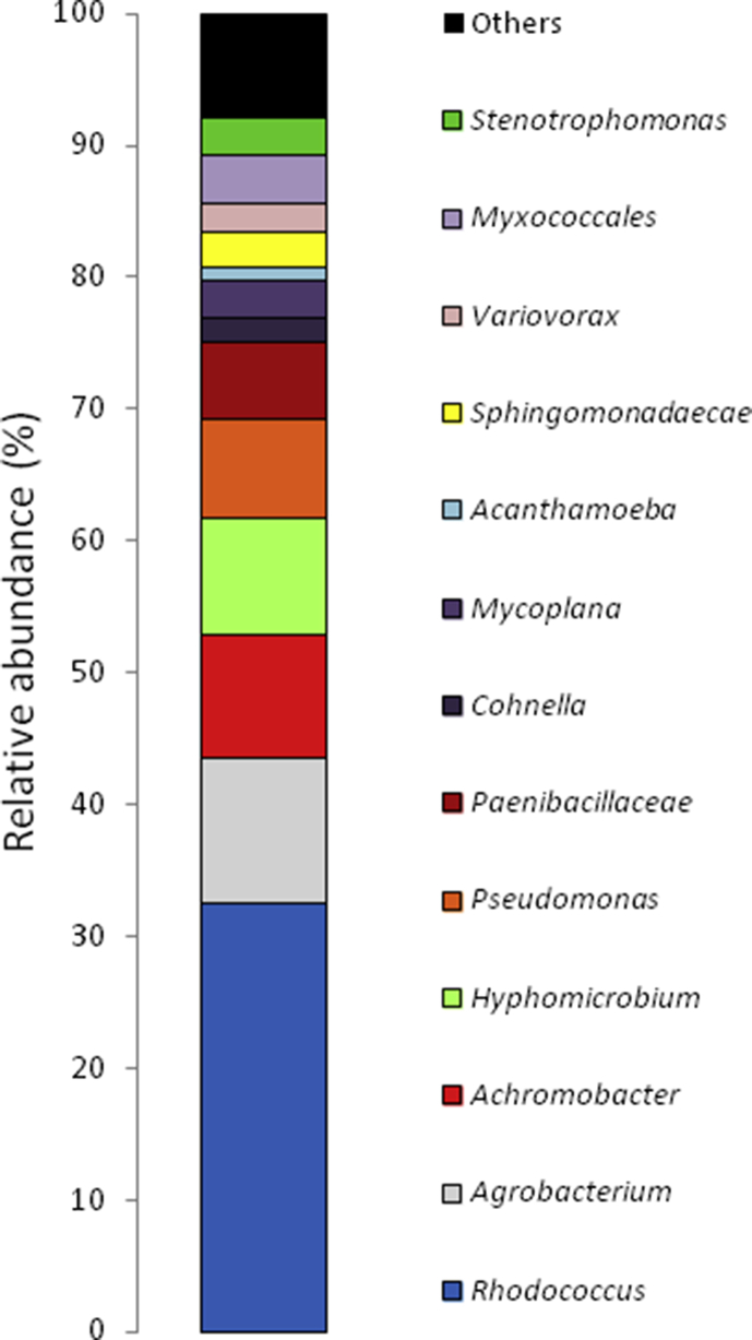 Fig. 2