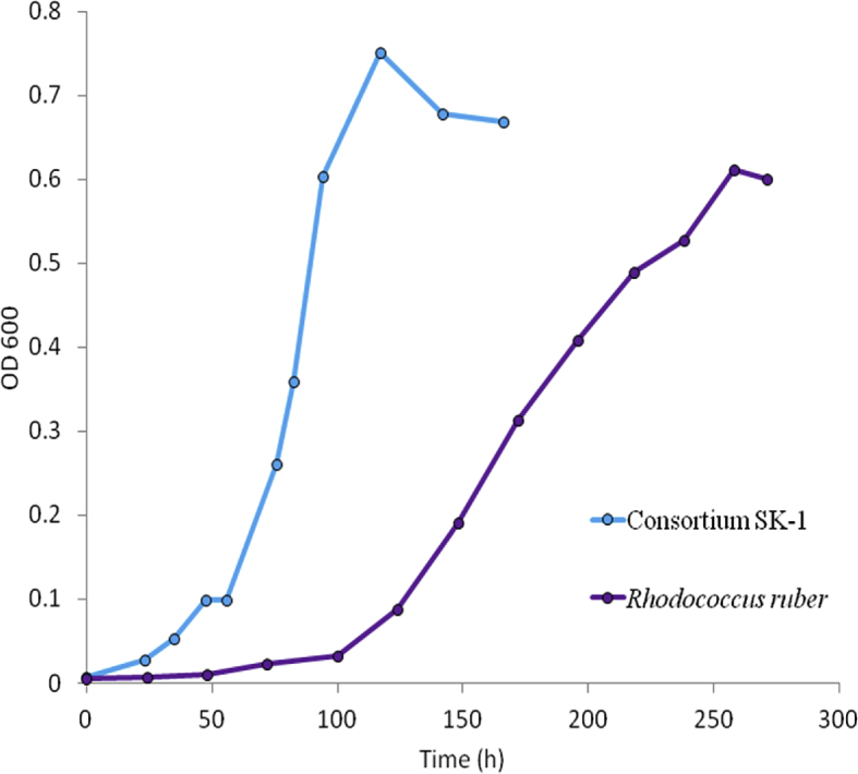 Fig. 3