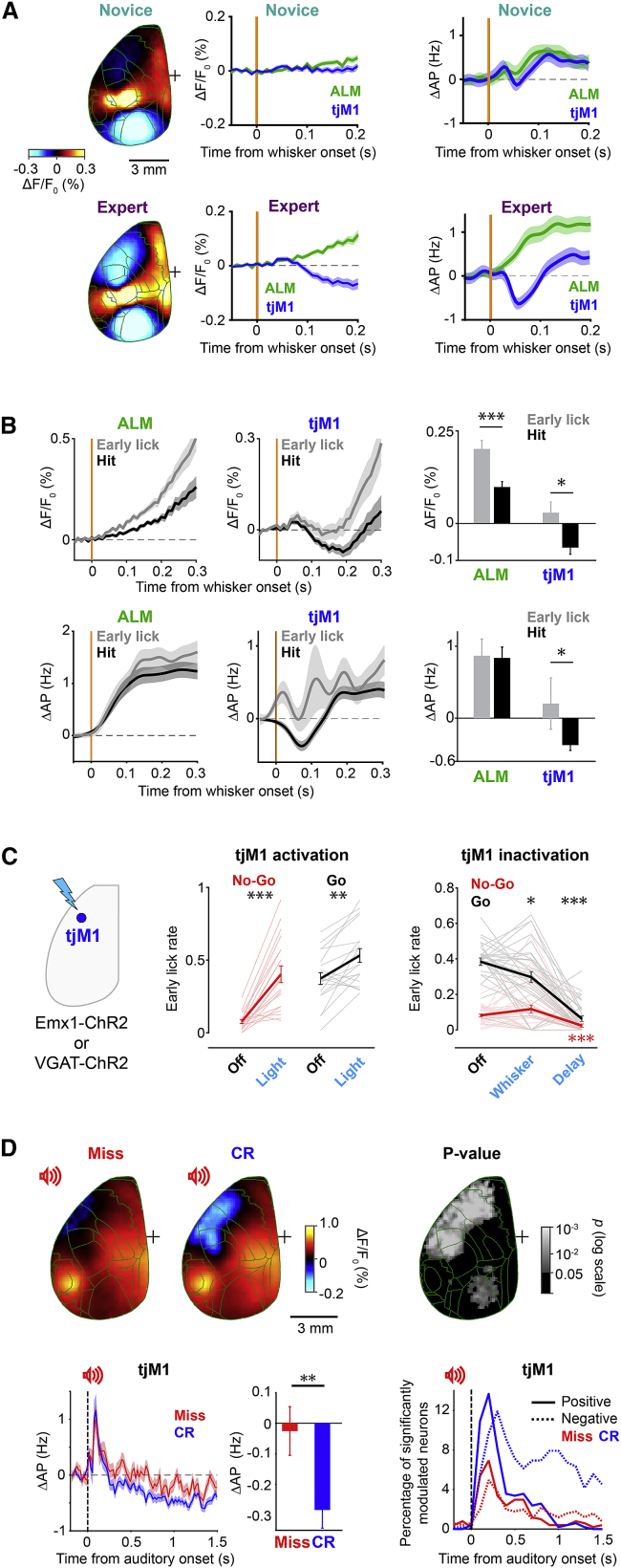 Figure 4