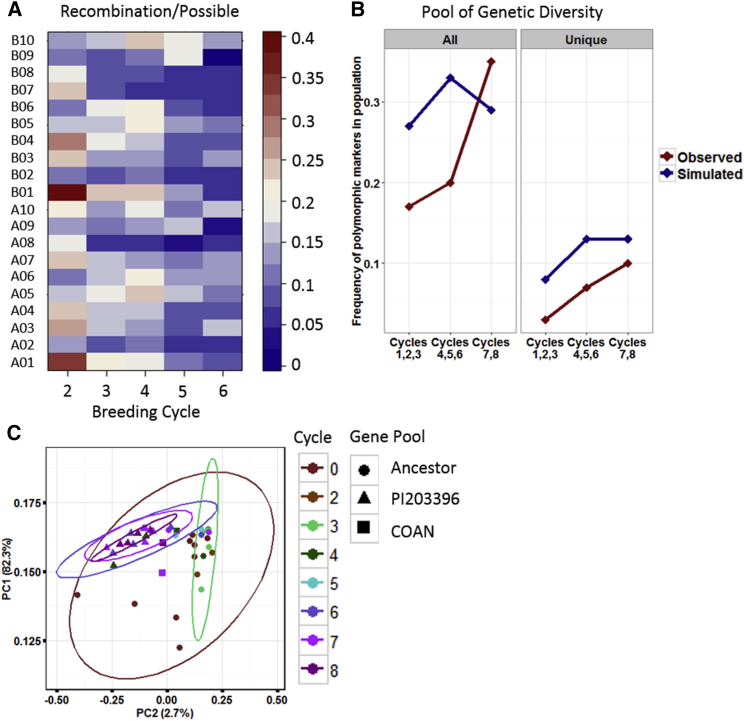 Figure 3