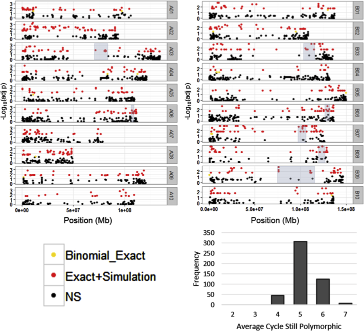 Figure 4