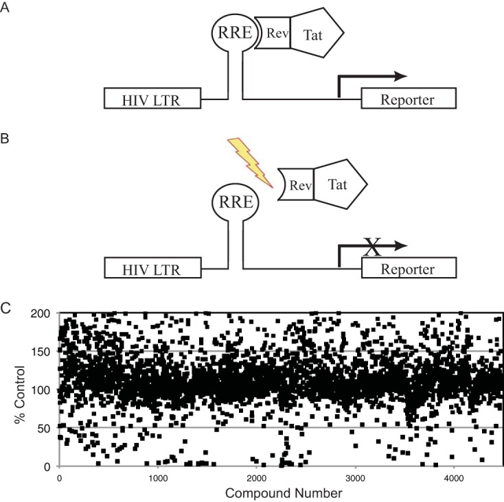 FIG 1