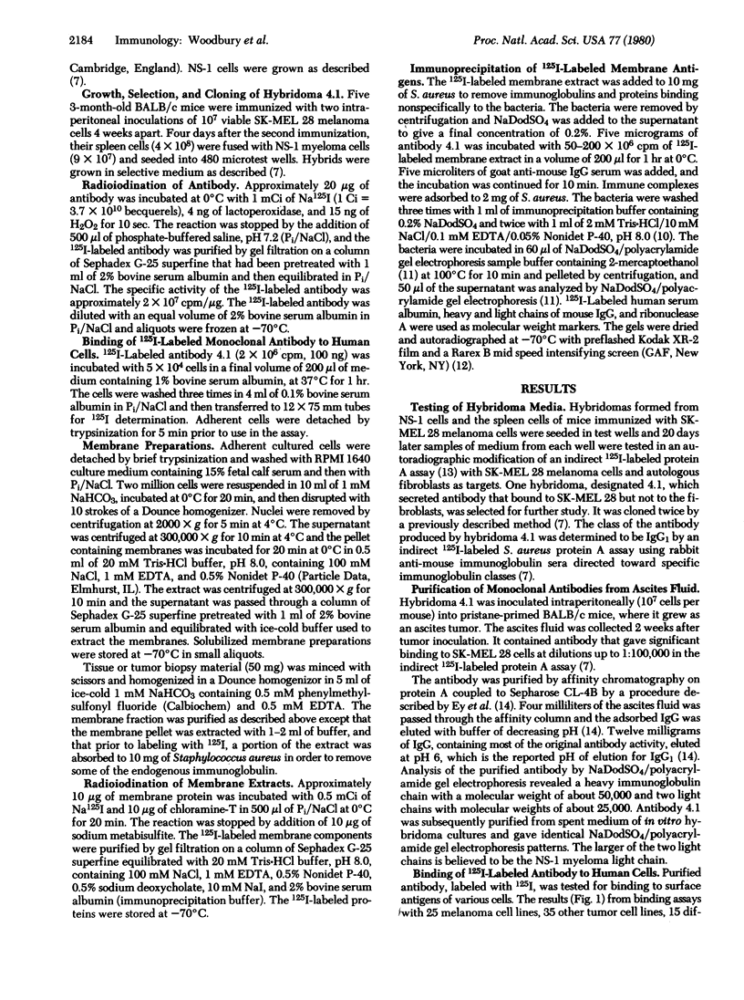 Identification of a cell surface protein, p97, in human melanomas and ...