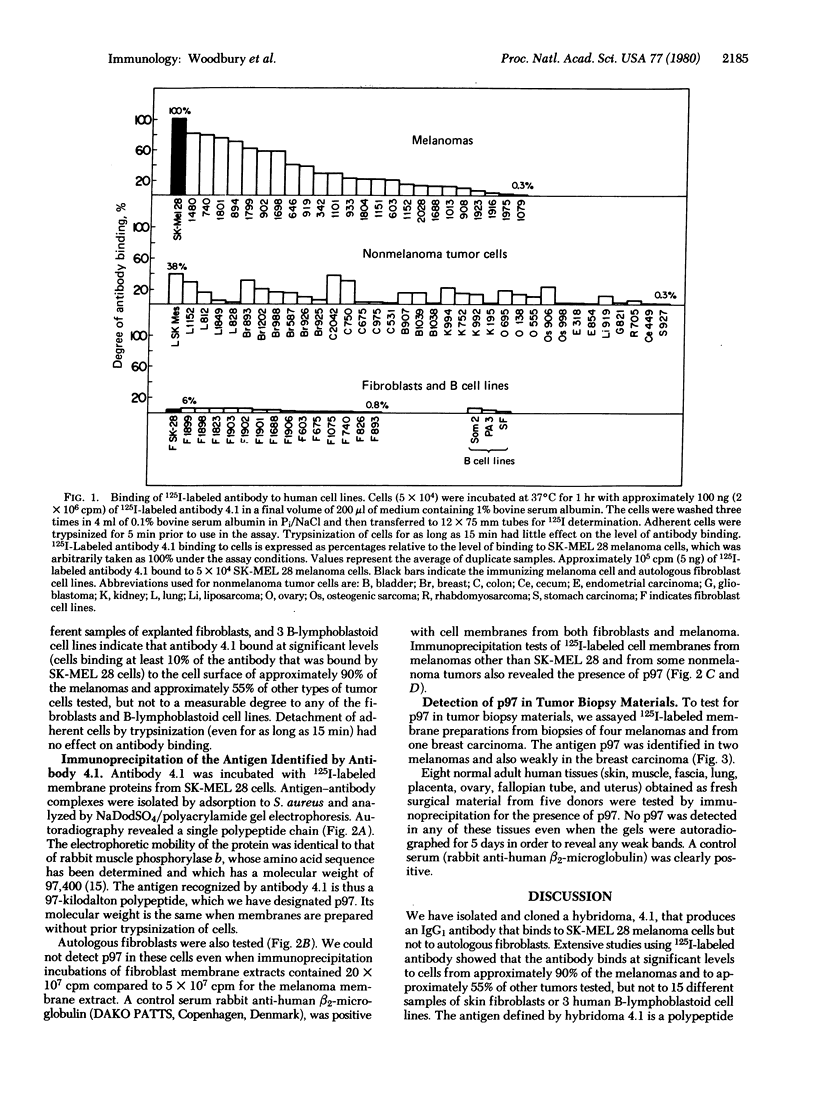 Identification of a cell surface protein, p97, in human melanomas and ...