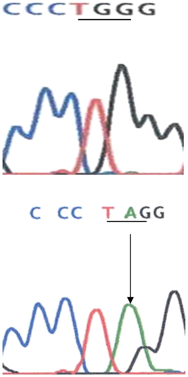 Fig. 2