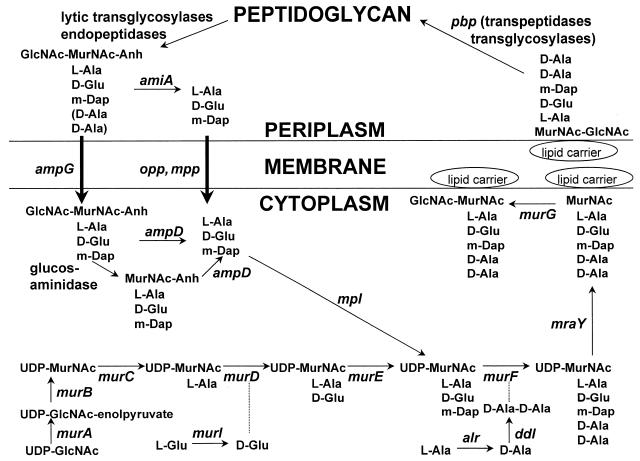 FIG. 4