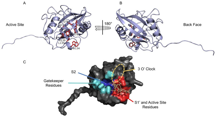 Figure 2