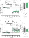 Lack of effect of TAPI-1 on synaptically evoked mGluR-LTD. (a) mGluR-LTD was evoked in stratum radiatum by 1200 pairs of pulses (50 ms ISI) delivered at 1 Hz