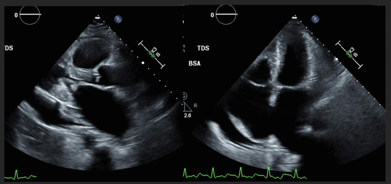 Figure 1