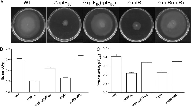 Fig. 2.