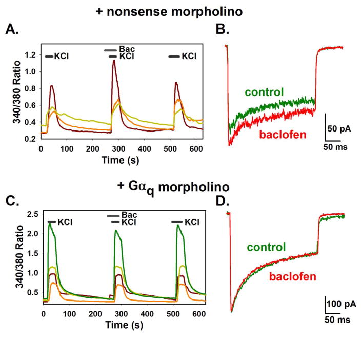 Fig. 2