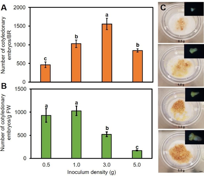 Fig 4