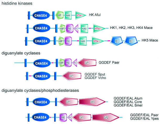 FIG. 6.