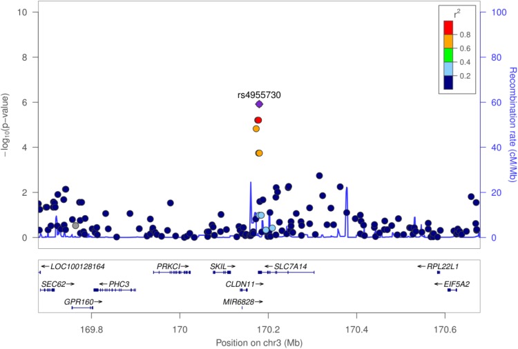 FIGURE 3