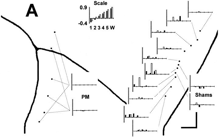 Fig. 5.