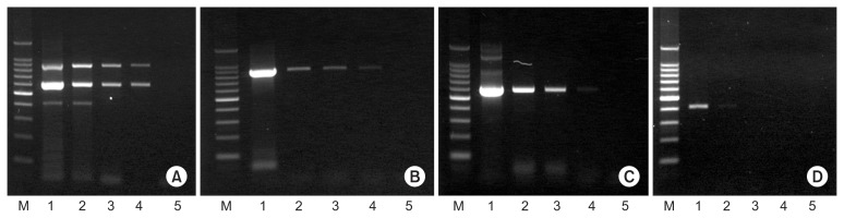 Fig. 5