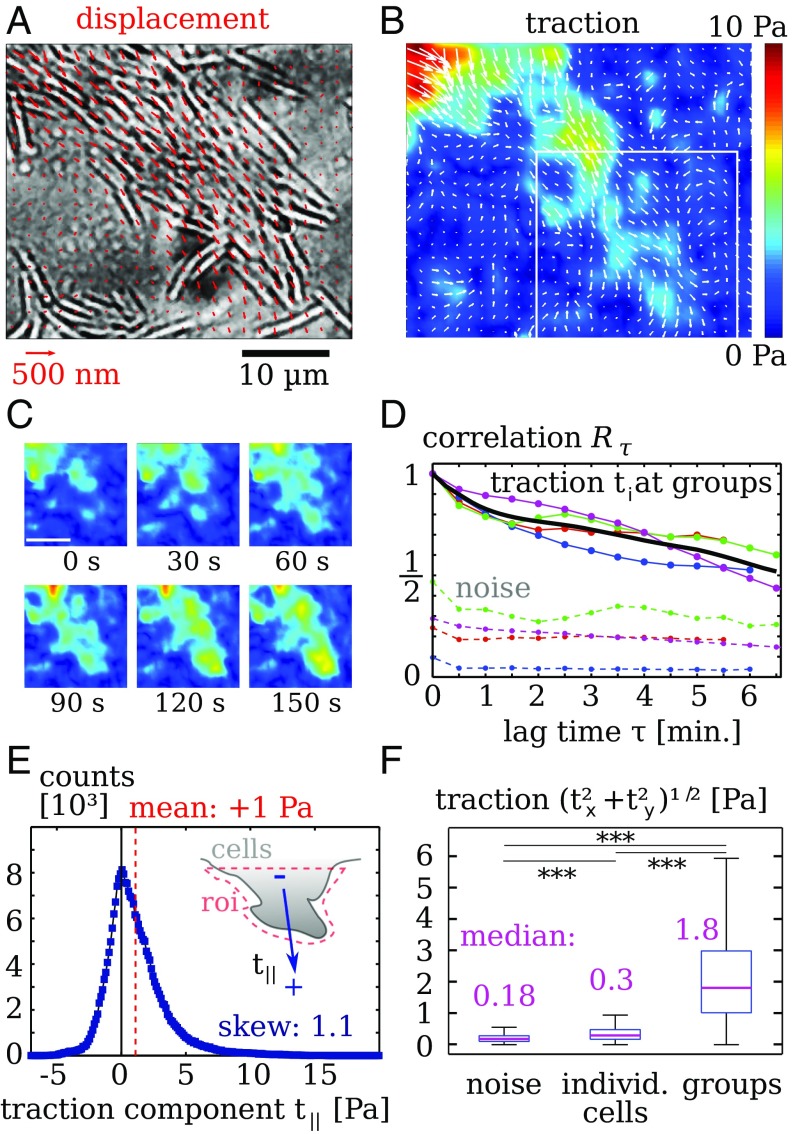 Fig. 4.