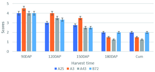 Figure 3. 