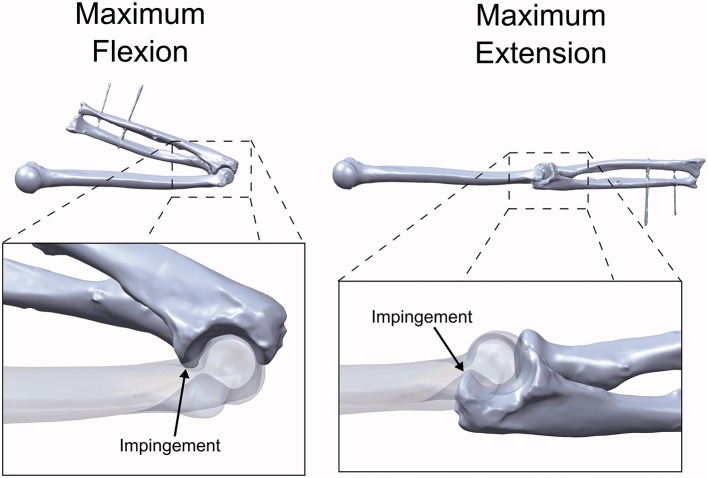 Figure 5.