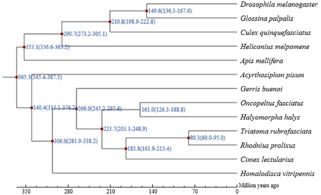 Figure 7: