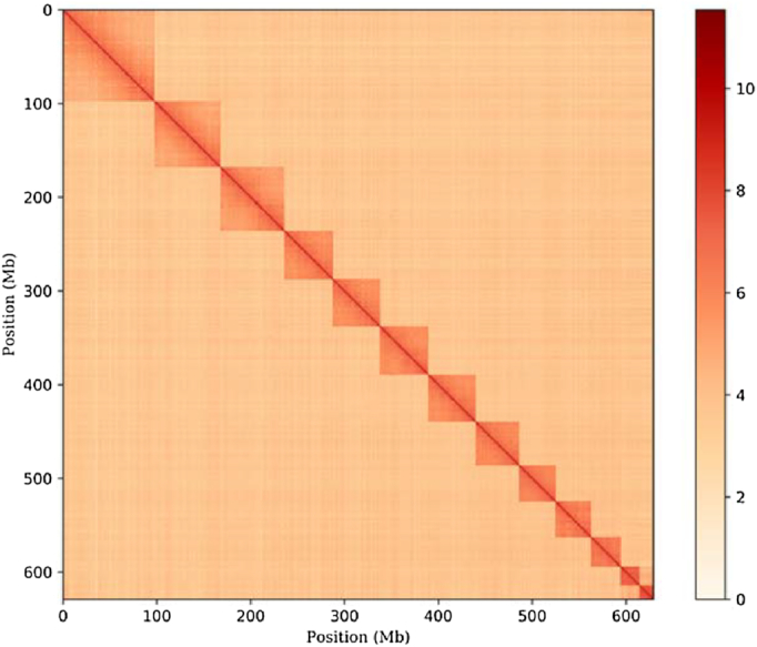 Figure 4: