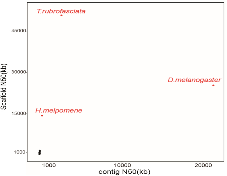 Figure 5: