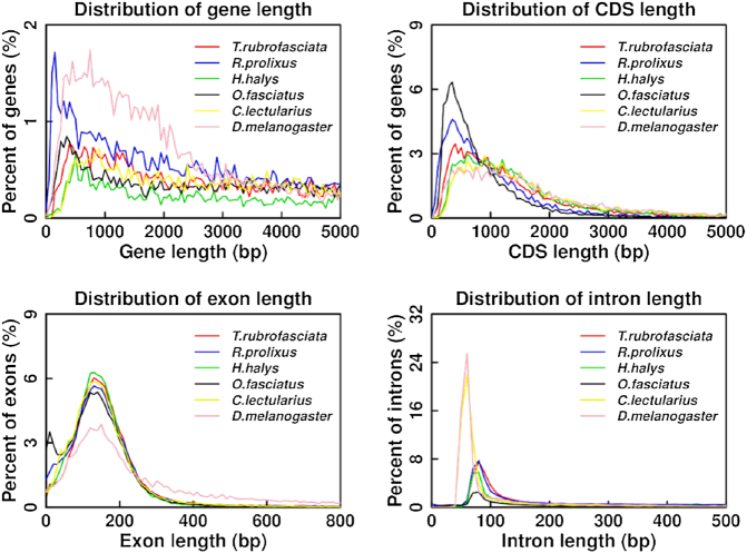 Figure 6: