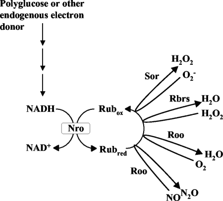 FIG. 8.