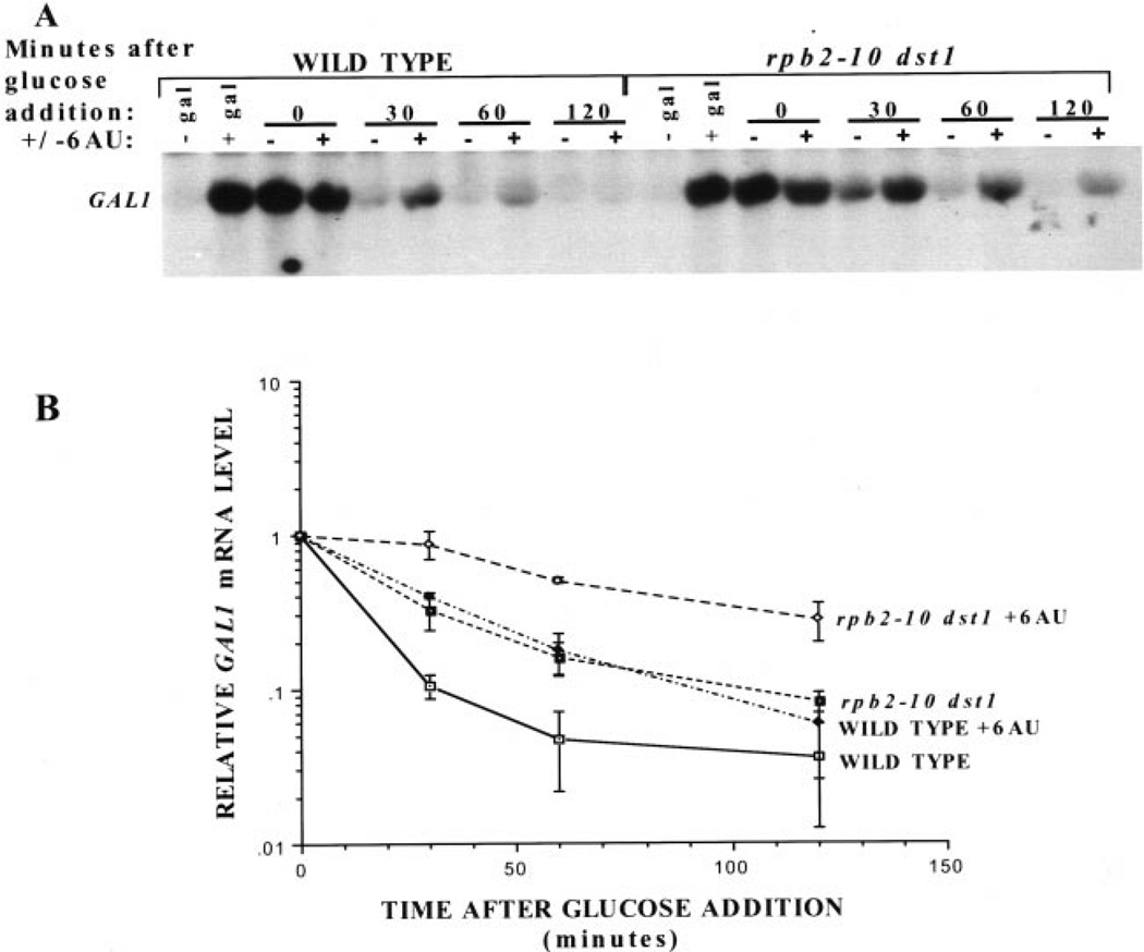 Fig. 5