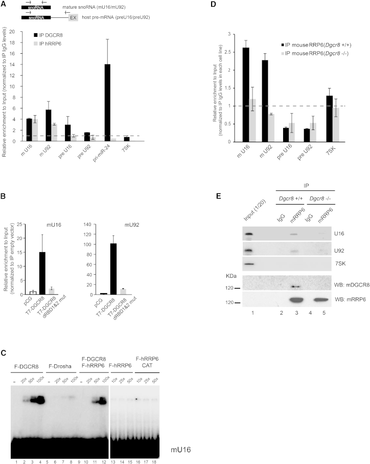 Figure 4