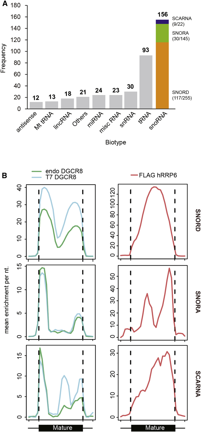 Figure 6