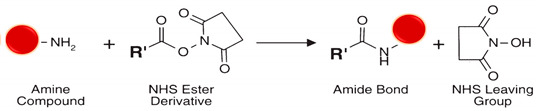 graphic file with name polymers-13-02464-i009.jpg