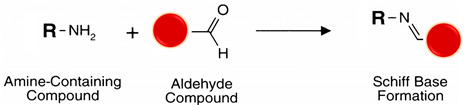 graphic file with name polymers-13-02464-i004.jpg