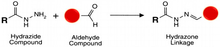 graphic file with name polymers-13-02464-i005.jpg