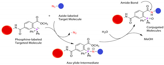 graphic file with name polymers-13-02464-i016.jpg