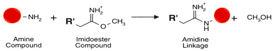 graphic file with name polymers-13-02464-i010.jpg